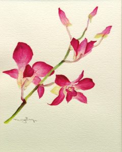 240x300 Botanical Watercolor Painting Workshop Presented By Lemoyne Arts - Botanical Watercolor Painting