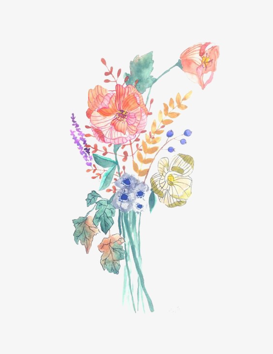 564x730 Bouquet, Creative Bouquet, Watercolor Bouquet, Flowers Png Image - Bouquet Watercolor