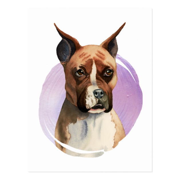 630x630 Boxer Dog Watercolor Painting Postcard - Boxer Dog Watercolor