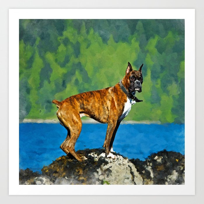 700x700 Boxer Dog Watercolor Digital Art Art Print By K9printart Society6 - Boxer Dog Watercolor