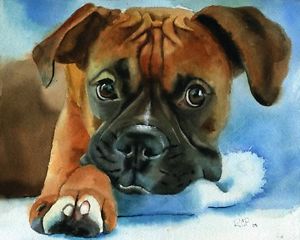 300x240 Giclee Print Boxer Dog Watercolor Watercolor Painting Art Pet - Boxer Dog Watercolor