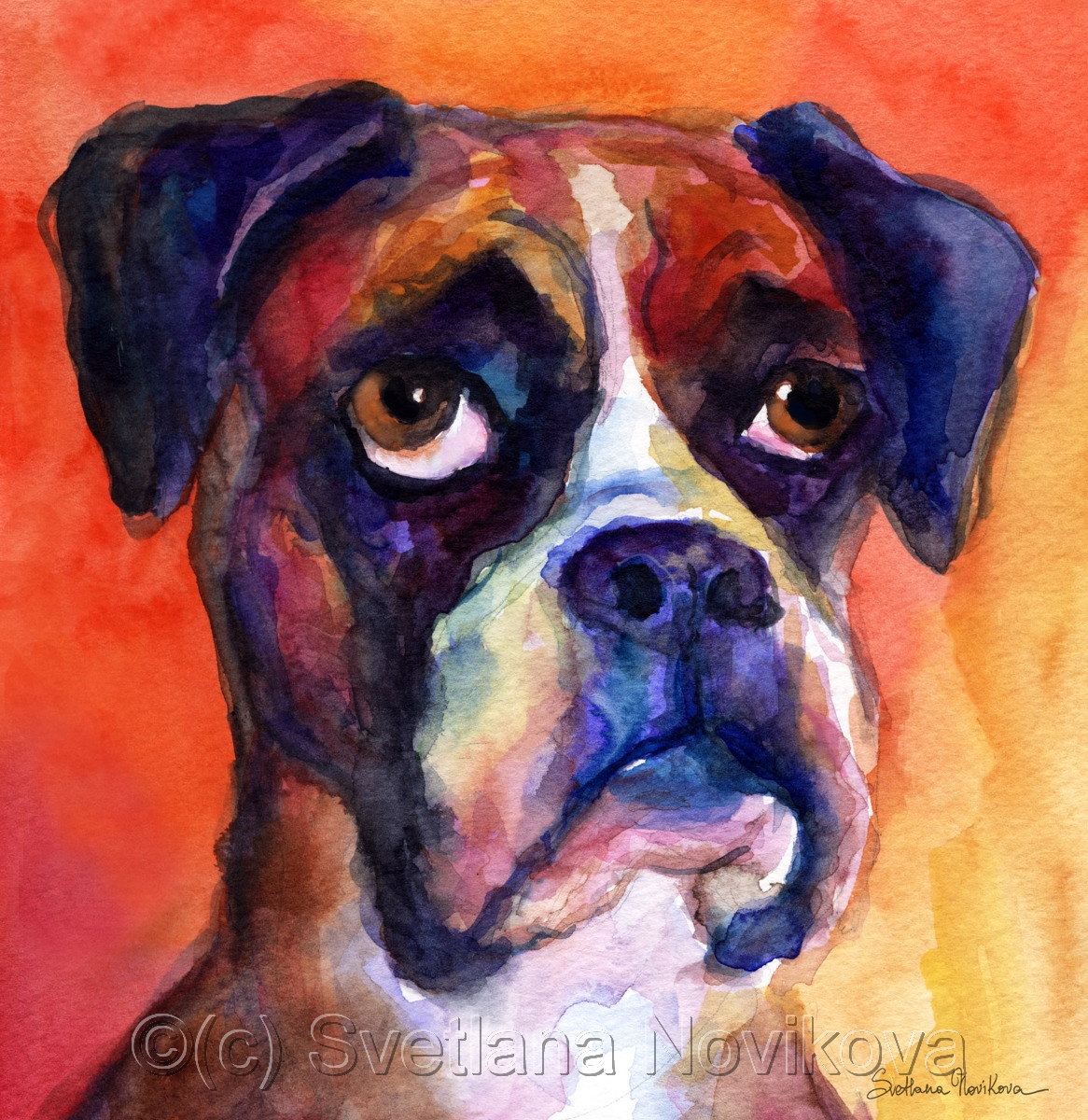 1166x1200 Painting Funny Watercolor Boxer Dog Painting (Original Art By - Boxer Dog Watercolor