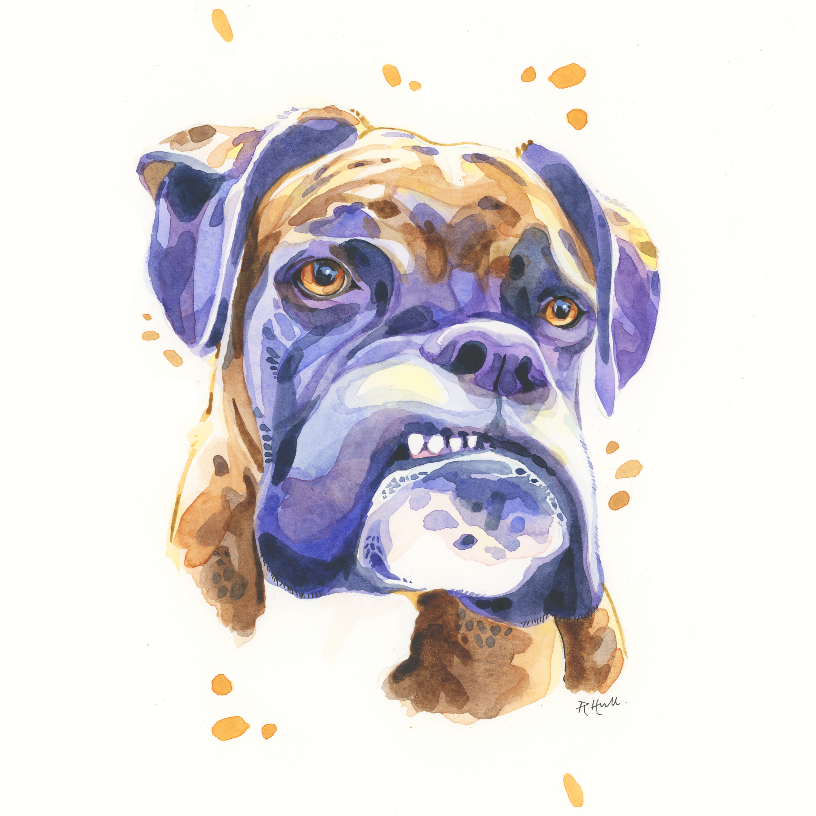 2754x2754 Say Cheese! Boxer Dog Watercolour, 12in X 9in - Boxer Dog Watercolor