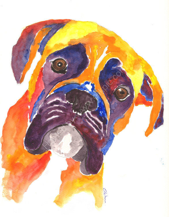 586x750 Art - Boxer Dog Watercolor