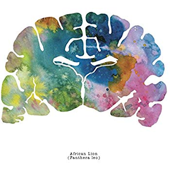 Brain Watercolor