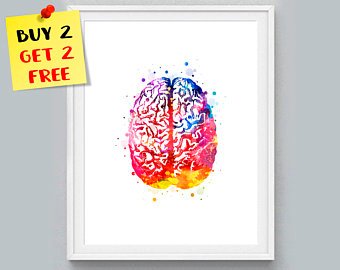 340x270 Brain Watercolor Etsy - Brain Watercolor