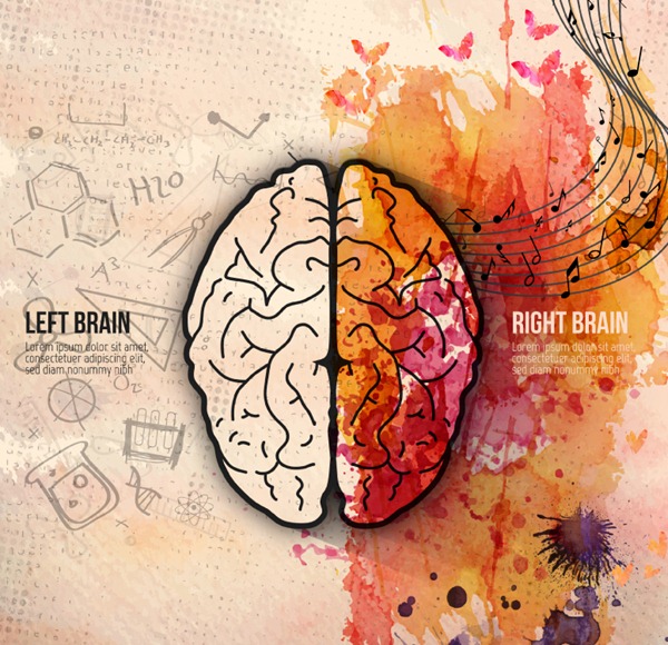 600x580 Creative Brain Watercolor Illustration Vector Graphics My Free - Brain Watercolor