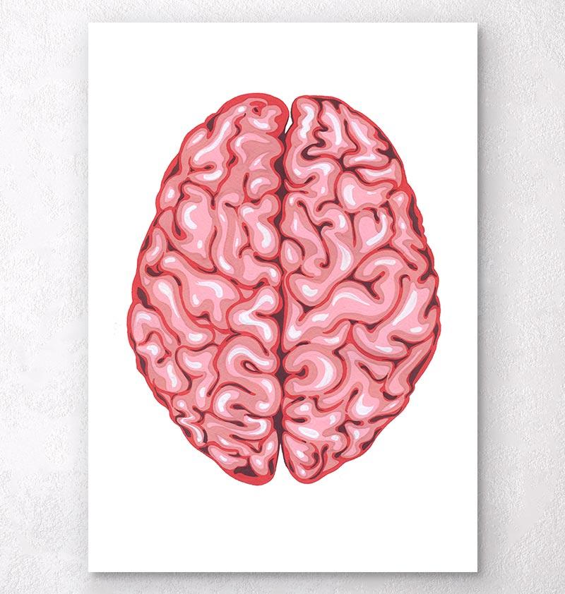 800x842 Funky Watercolor Brain Anatomy Art Print - Brain Watercolor