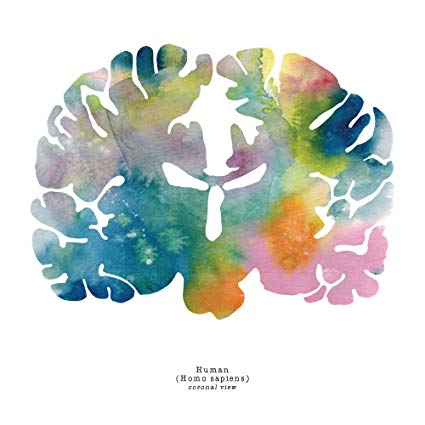 425x425 J. Sayuri Coronal Watercolor Human Brain Art Print - Brain Watercolor