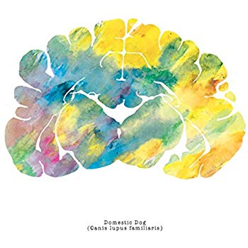 350x350 J. Sayuri Domestic Dog Watercolor Brain Art Print - Brain Watercolor