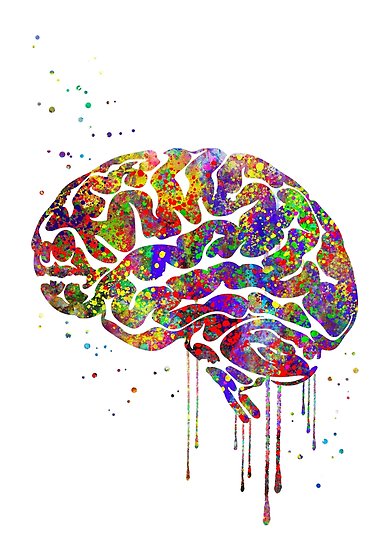 389x550 Brain Anatomy, Medical Art, Watercolor Brain Posters By - Brain Watercolor