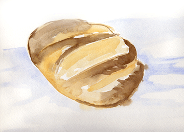 360x258 Week 3 Amp 4 B Is For Bread And Butter A Is For Painting - Bread Watercolor