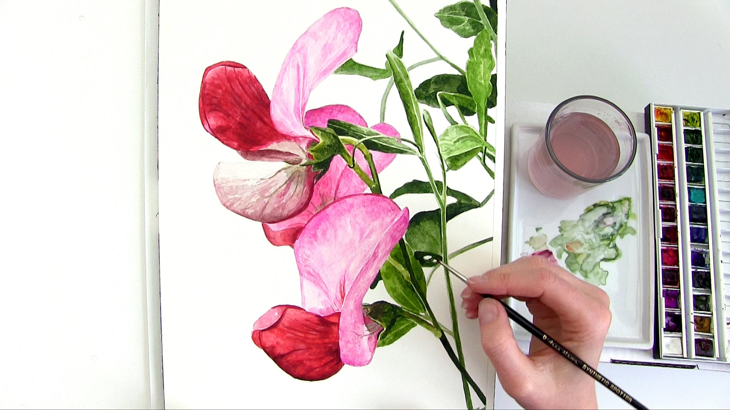 2560x1440 How To Paint A Bright, Rounded, 3d Petal In Watercolour - Bright Watercolor Paint