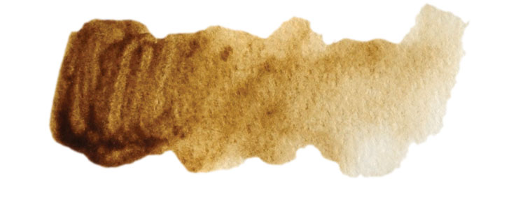 737x289 Seeing Sepia An Earth Tone Of Past, Present And Future - Brown Watercolor