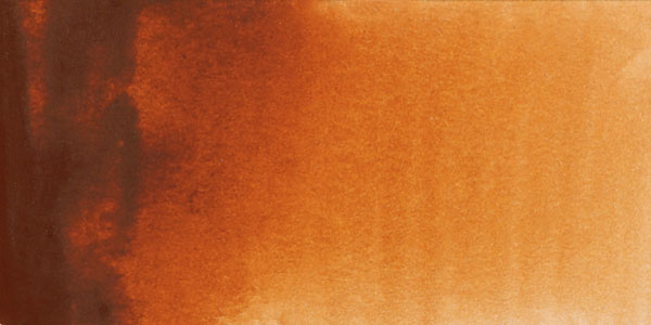 600x300 01758 8910 - Brown Watercolor