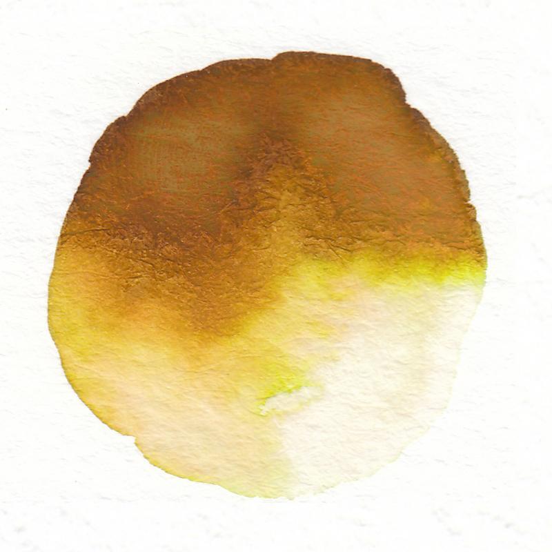 800x800 Watercolor Paint - Brown Watercolor