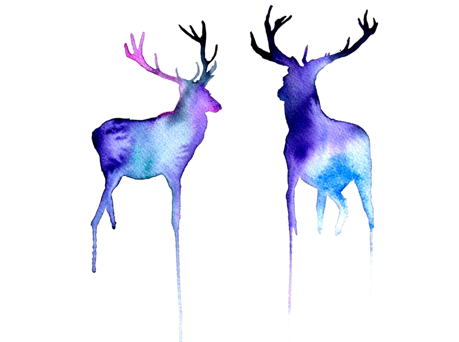 900x671 Watercolor Painting Deer - Buck Watercolor