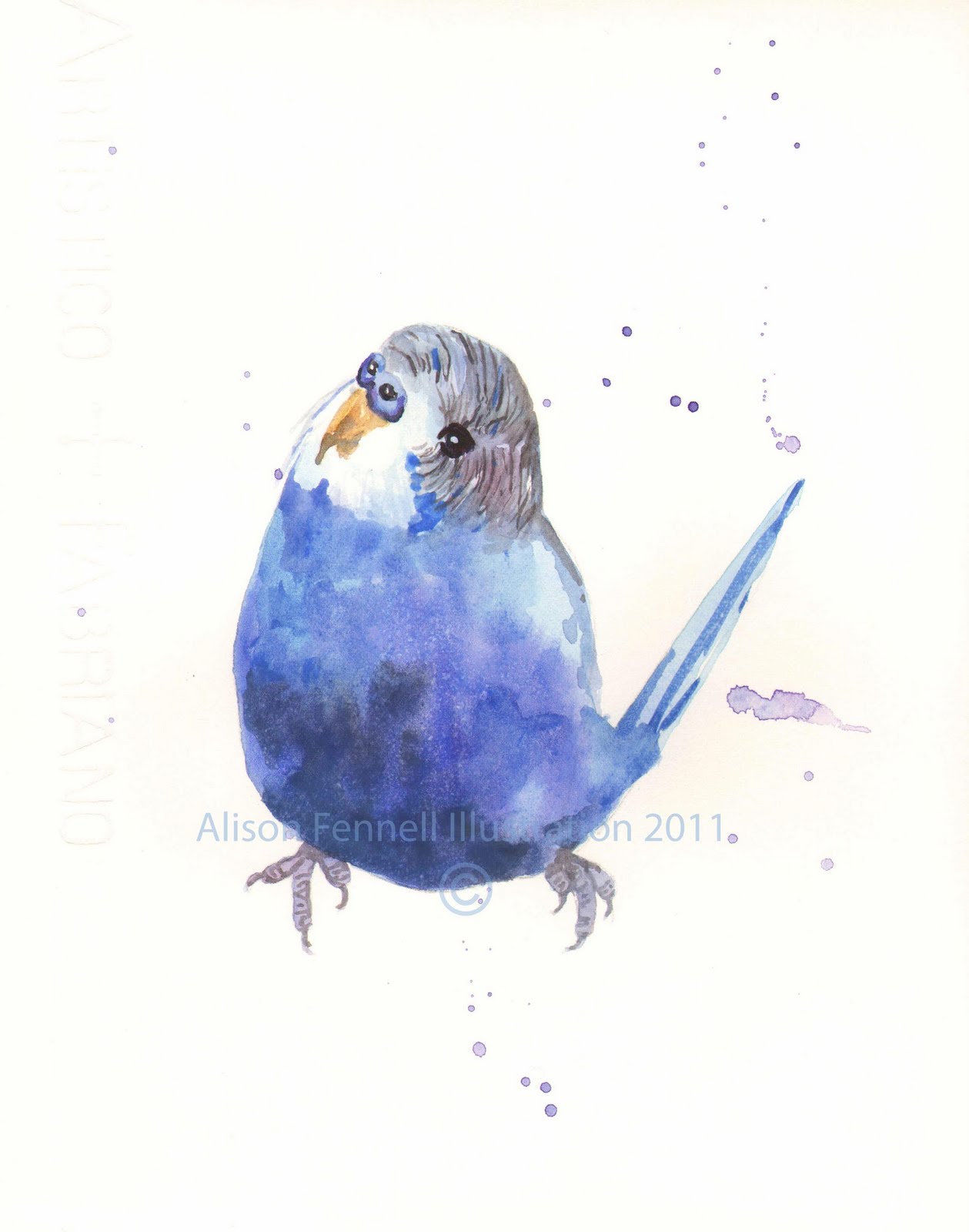 1259x1600 Brian Breeze The Budgie Alison Fennell Art - Budgie Watercolor