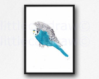 340x270 Budgie Watercolor Etsy - Budgie Watercolor