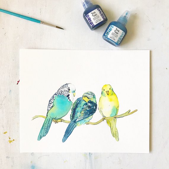 570x570 Budgie Watercolor Original Watercolor Painting Original Etsy - Budgie Watercolor