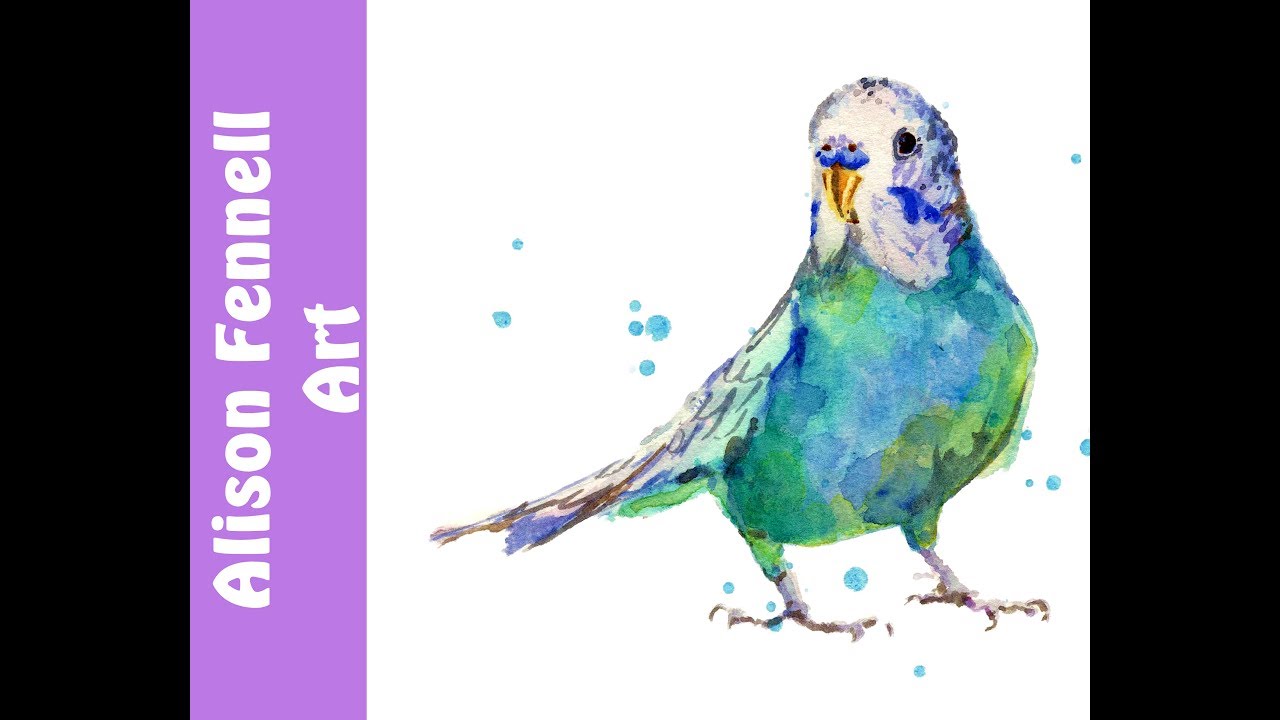 1280x720 Watercolor Budgie Tutorial - Budgie Watercolor