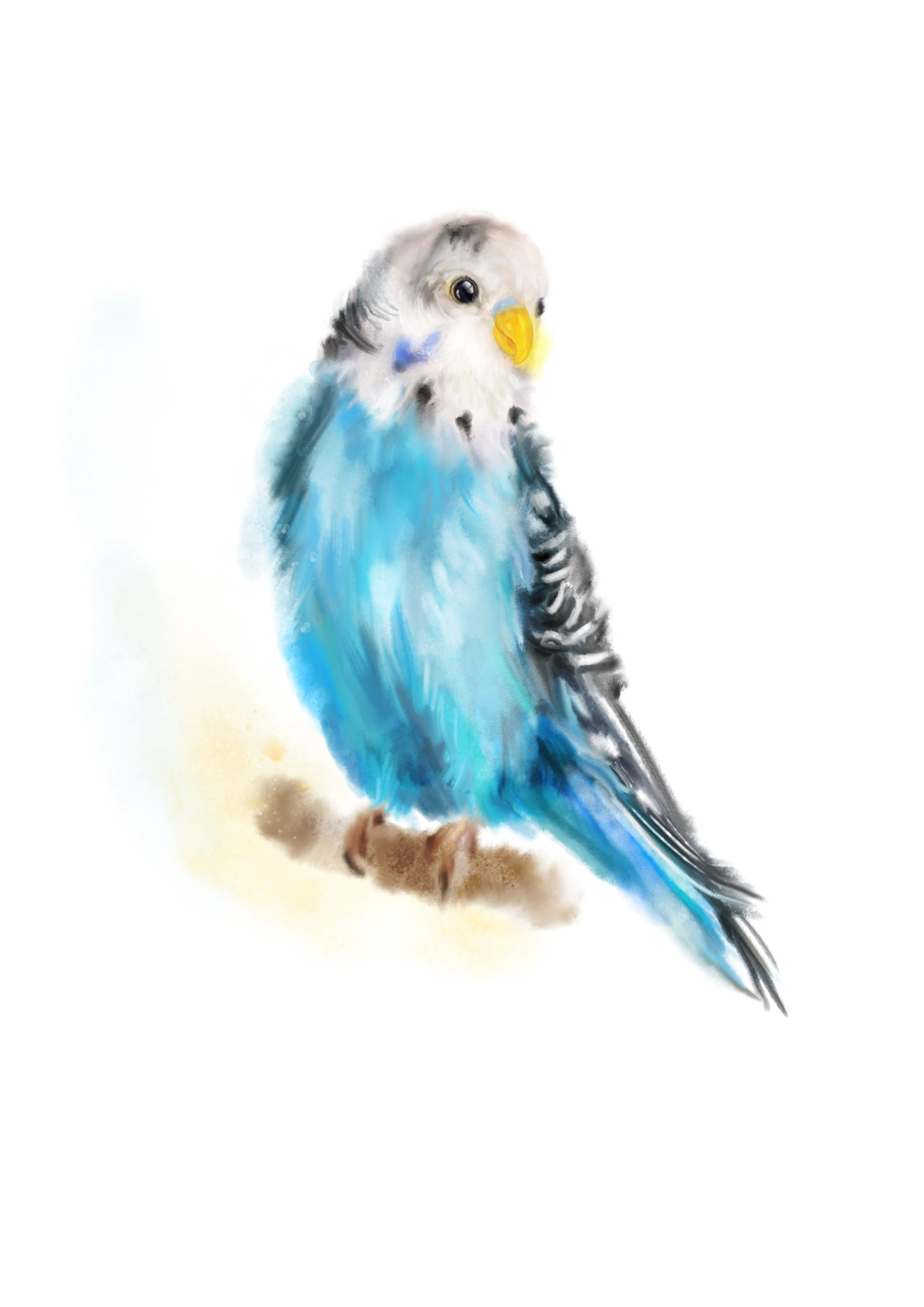 1000x1414 Blue Budgie Art Print Martha Bowyer - Budgie Watercolor