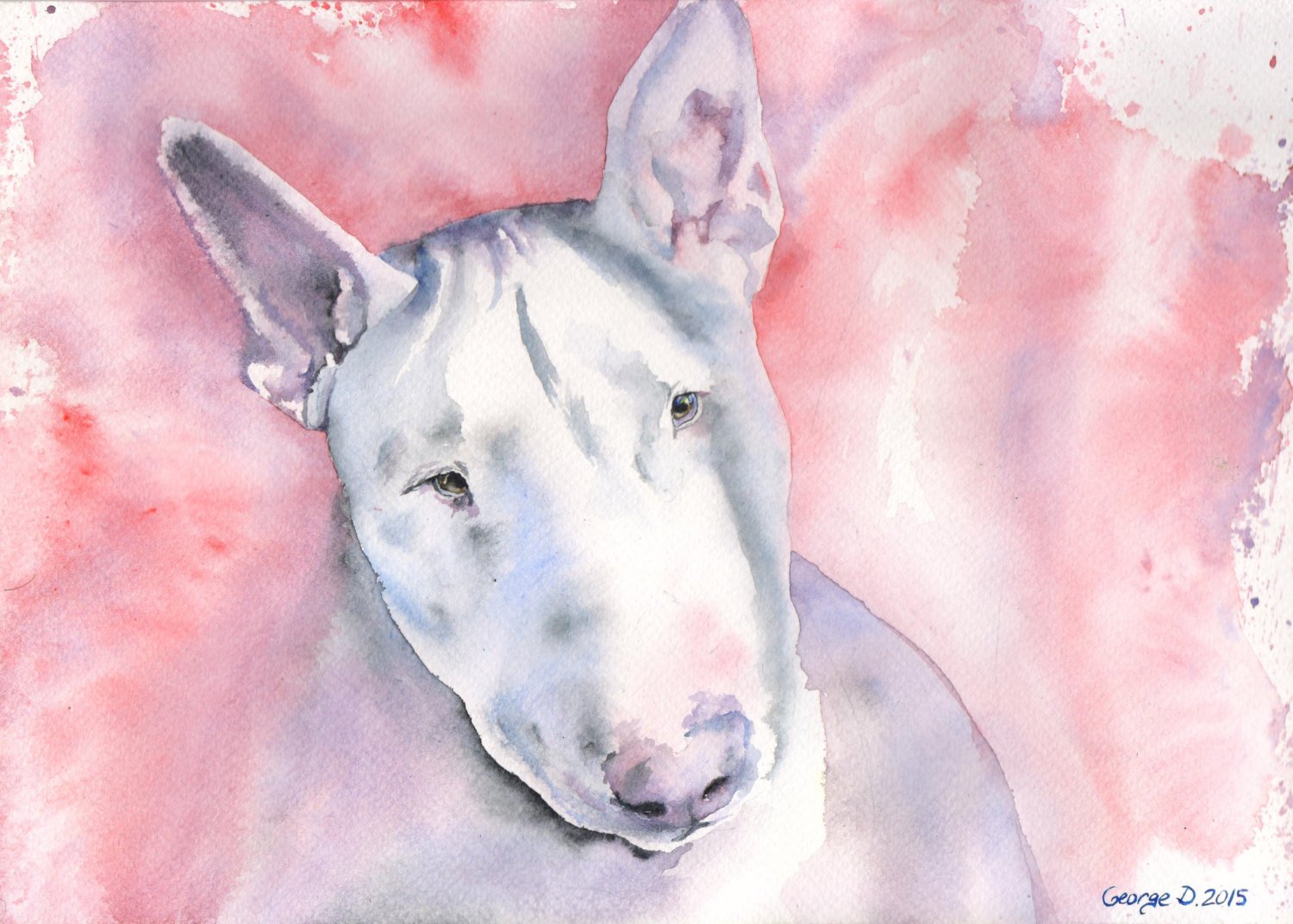 1500x1072 Bull Terrier Print Of The Original Watercolor Painting Art Etsy - Bull Terrier Watercolor