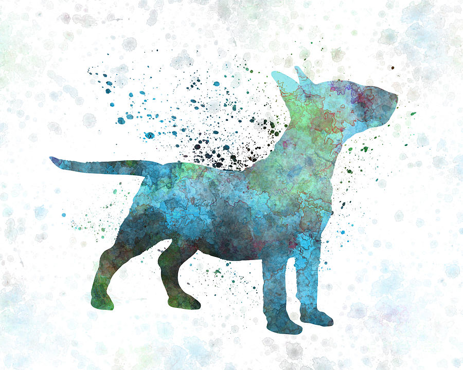 900x720 Miniature Bull Terrier In Watercolor Painting By Pablo Romero - Bull Terrier Watercolor