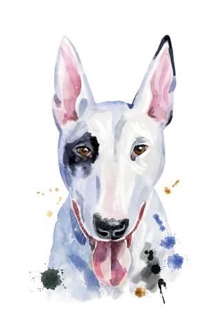 325x488 Watercolor Portrait Of Bull Terrier Prints By Natalia Andreichenko - Bull Terrier Watercolor