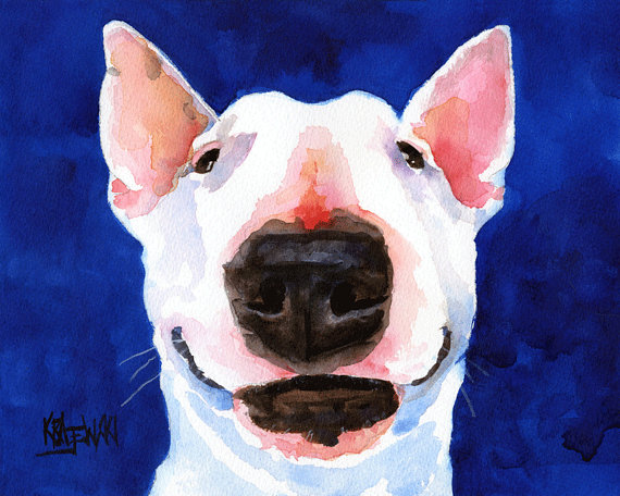 570x456 Bull Terrier Art Print Of Original Watercolor Painting 11x14 Dog - Bull Terrier Watercolor