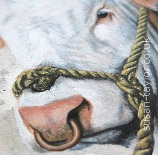 640x629 Bullish 2 - Bull Watercolor