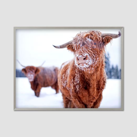 523x523 Framed Watercolor Print - Bull Watercolor