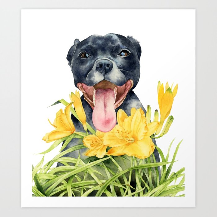 700x700 Joy Pit Bull Dog And Daylily Watercolor Painting Art Print By - Bull Watercolor