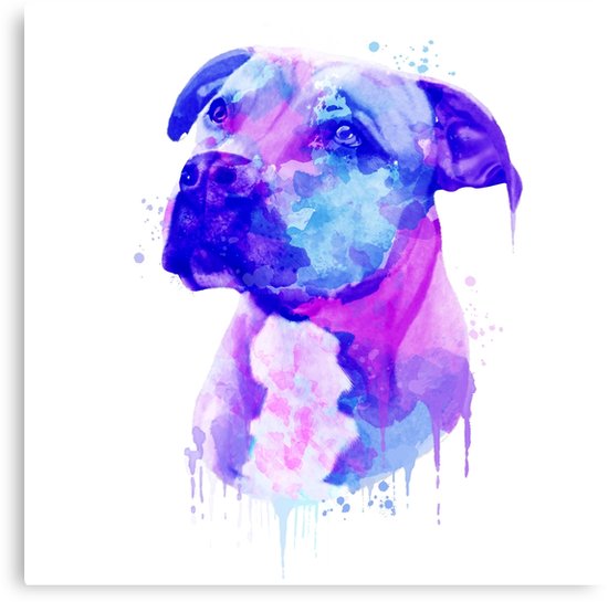 550x545 Pit Bull Watercolor, Pit Bull Painting, Pit Bull Portrait, Pit - Bull Watercolor