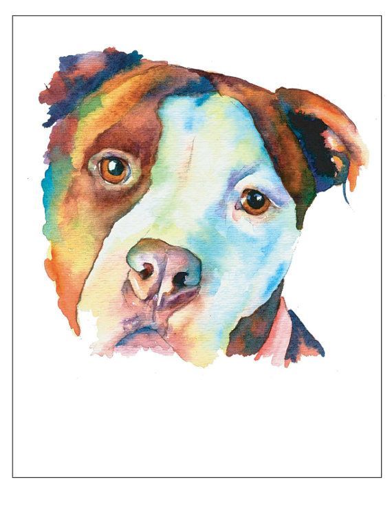 570x738 Pitt Bull Watercolor Painting Pit Bull Terrier Mix Mutt - Bull Watercolor