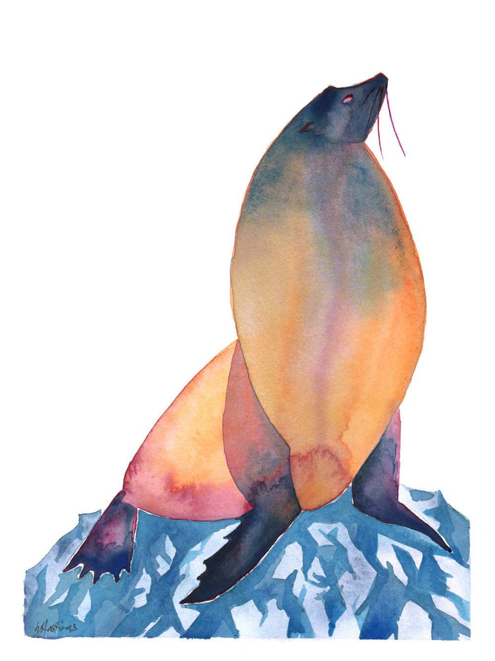 1000x1334 Bull Sea Lion - Bull Watercolor