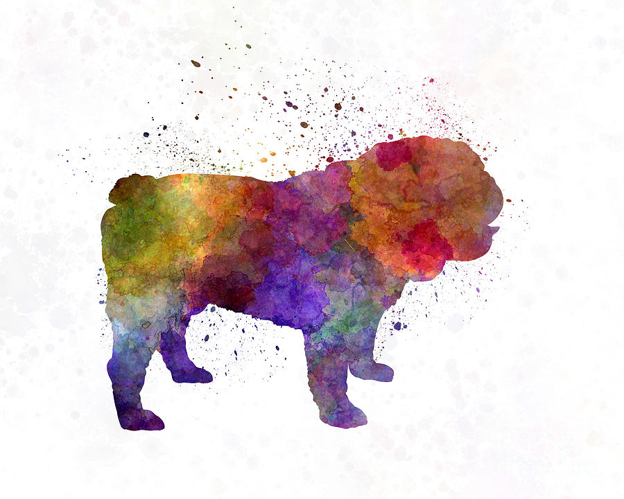 900x720 English Bulldog In Watercolor Painting By Pablo Romero - Bulldog Watercolor