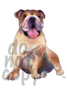225x300 Bulldog Watercolor Dog - Bulldog Watercolor