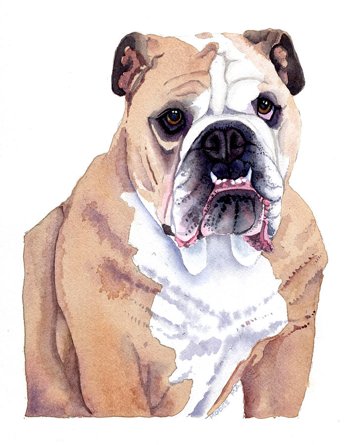 700x900 Bulldog Watercolor Painting By Michele Angel - Bulldog Watercolor