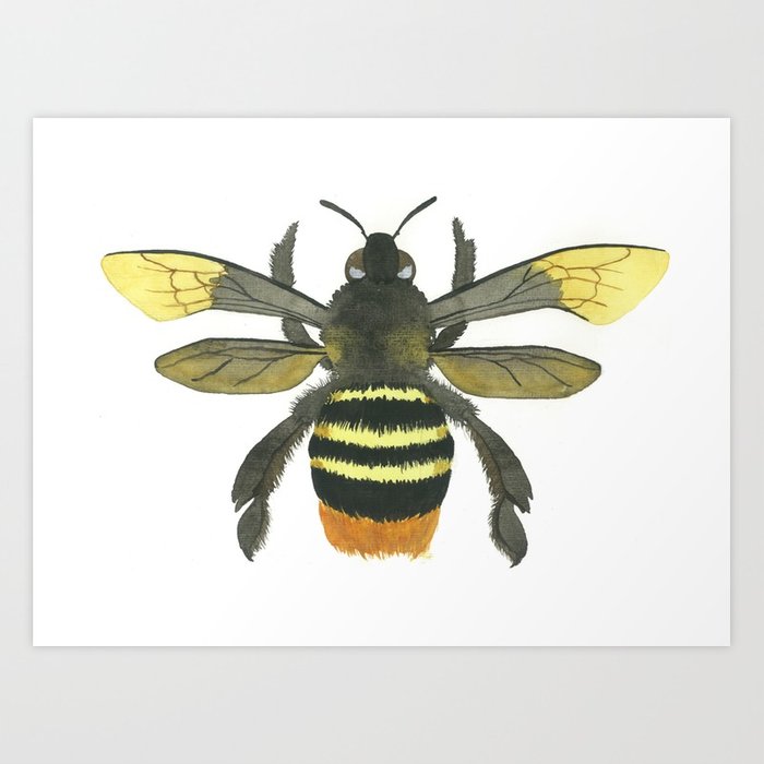 700x700 Bumble Bee Watercolor Art Print Art Print By Adriennerose Society6 - Bumble Bee Watercolor