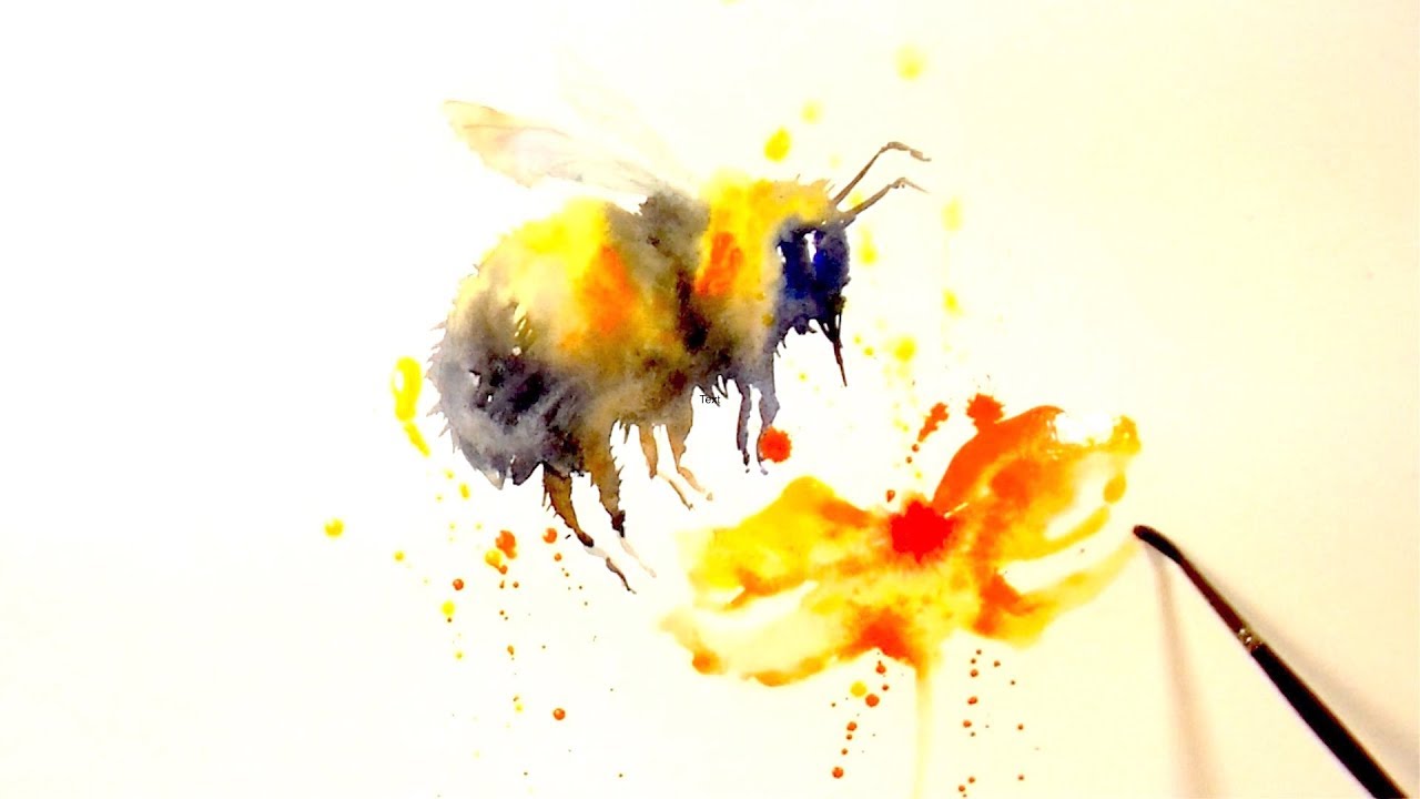 1280x720 Learn How To Paint And Colour A Bee - Bumble Bee Watercolor