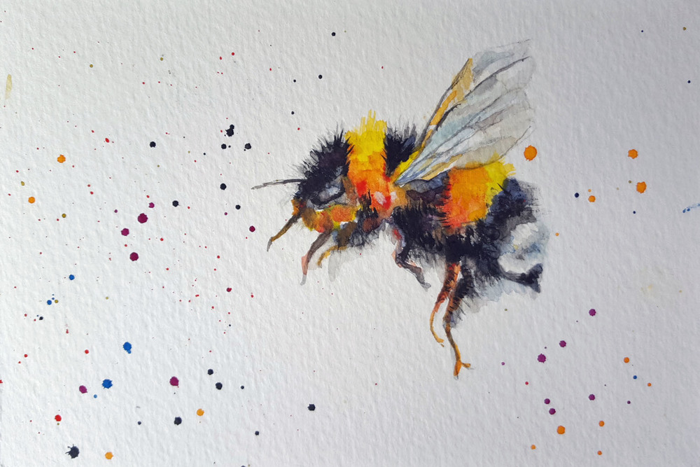 1000x667 Prints Available, Original Sold Bumblebee Iv - Bumble Bee Watercolor