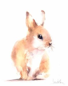 Bunny Watercolor Paintings
