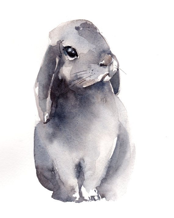 570x717 Painting Of Bunny, Original Watercolor Painting, Rabbit Painting - Bunny Watercolor Paintings