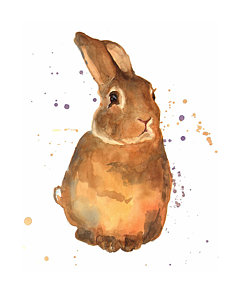 240x300 Rabbit Watercolor Paintings Fine Art America - Bunny Watercolor Paintings