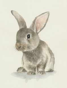 236x308 Rabbit Watercolor Original Bunny Painting By Ddrawings On Etsy - Bunny Watercolor Paintings