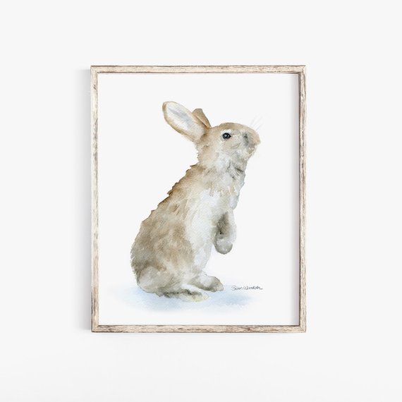 570x570 Bunny Watercolor Painting Giclee Print 5 X 7 Rabbit Woodland Etsy - Bunny Watercolor Paintings