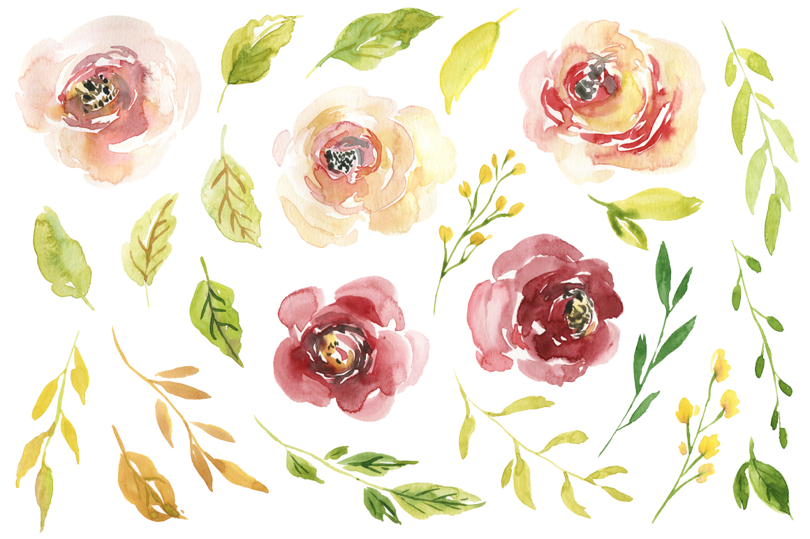 1160x772 Watercolor Burgundy Amp Yellow White Creamy Flowers - Burgundy Watercolor