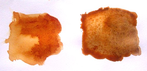 500x243 Burnt Sienna Recommendations - Burnt Sienna Watercolor