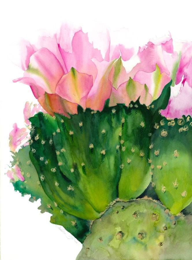 665x900 Chuck Mcpherson ~ Cactus Flower, Watercolor, 22x30 Inches. Http - Cactus Flower Watercolor